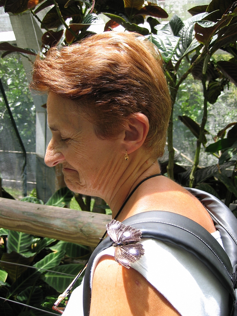 079 Kuranda Butterfly Sanctuary.jpg